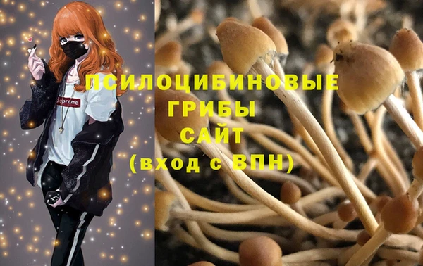 jwh Белокуриха