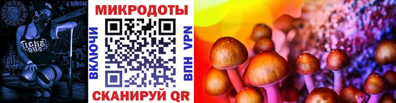 Галлюциногенные грибы Psilocybe  omg ссылка  Ершов 